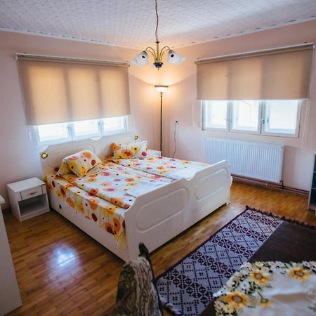 Hotel Gyongyvirag Panzio Lupeni  Zewnętrze zdjęcie