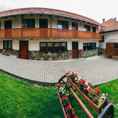 Hotel Gyongyvirag Panzio Lupeni  Zewnętrze zdjęcie