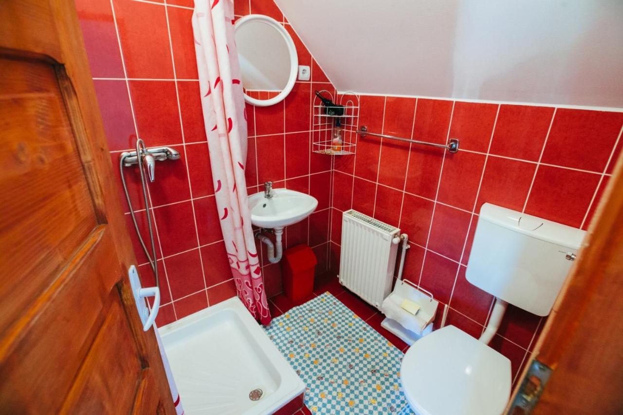 Hotel Gyongyvirag Panzio Lupeni  Zewnętrze zdjęcie