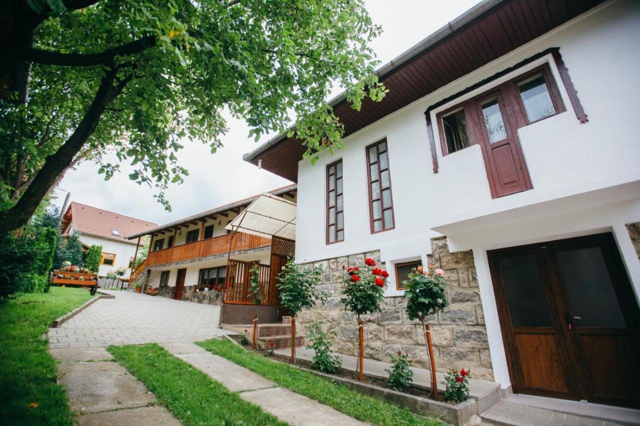 Hotel Gyongyvirag Panzio Lupeni  Zewnętrze zdjęcie