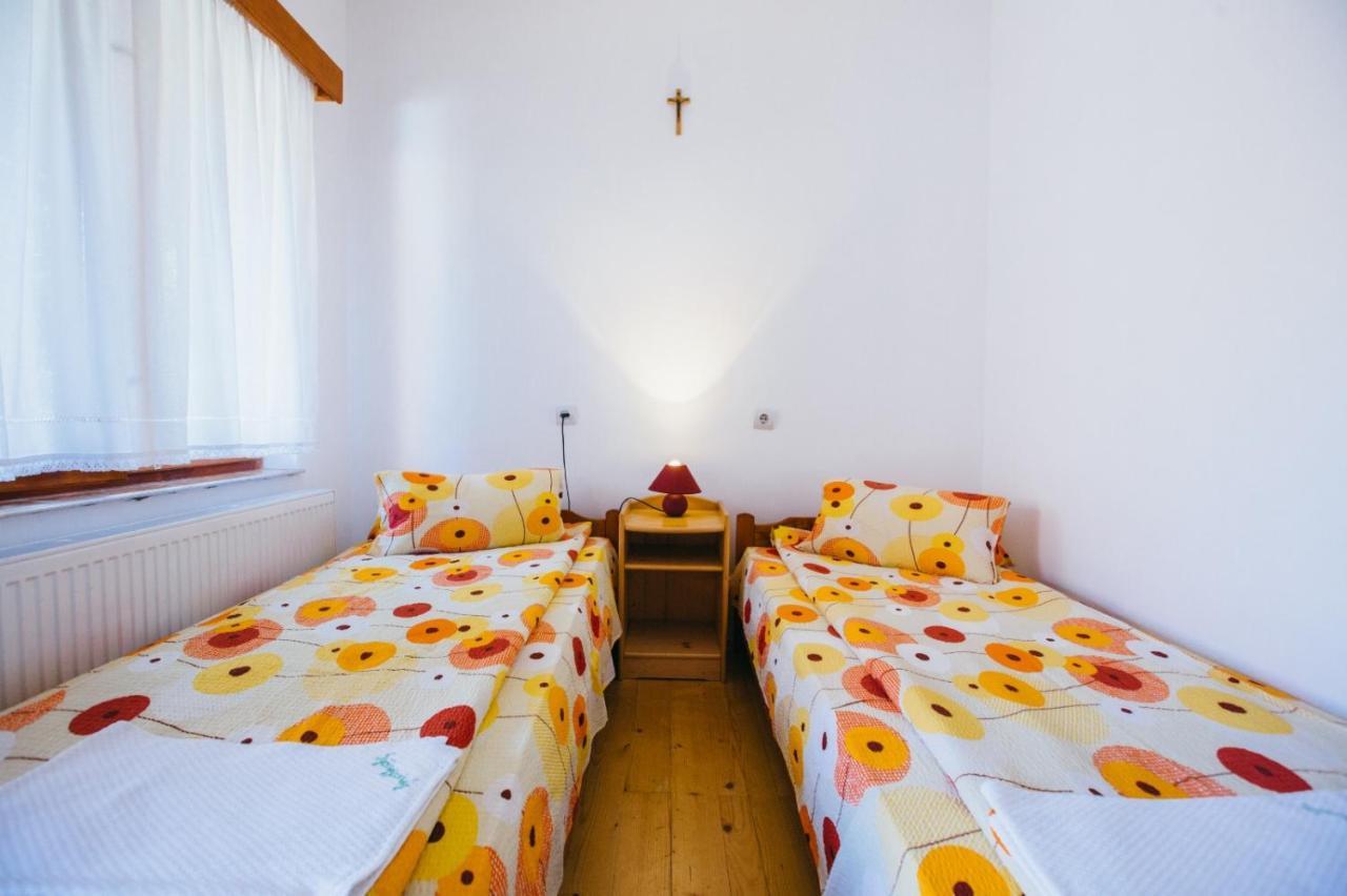 Hotel Gyongyvirag Panzio Lupeni  Zewnętrze zdjęcie