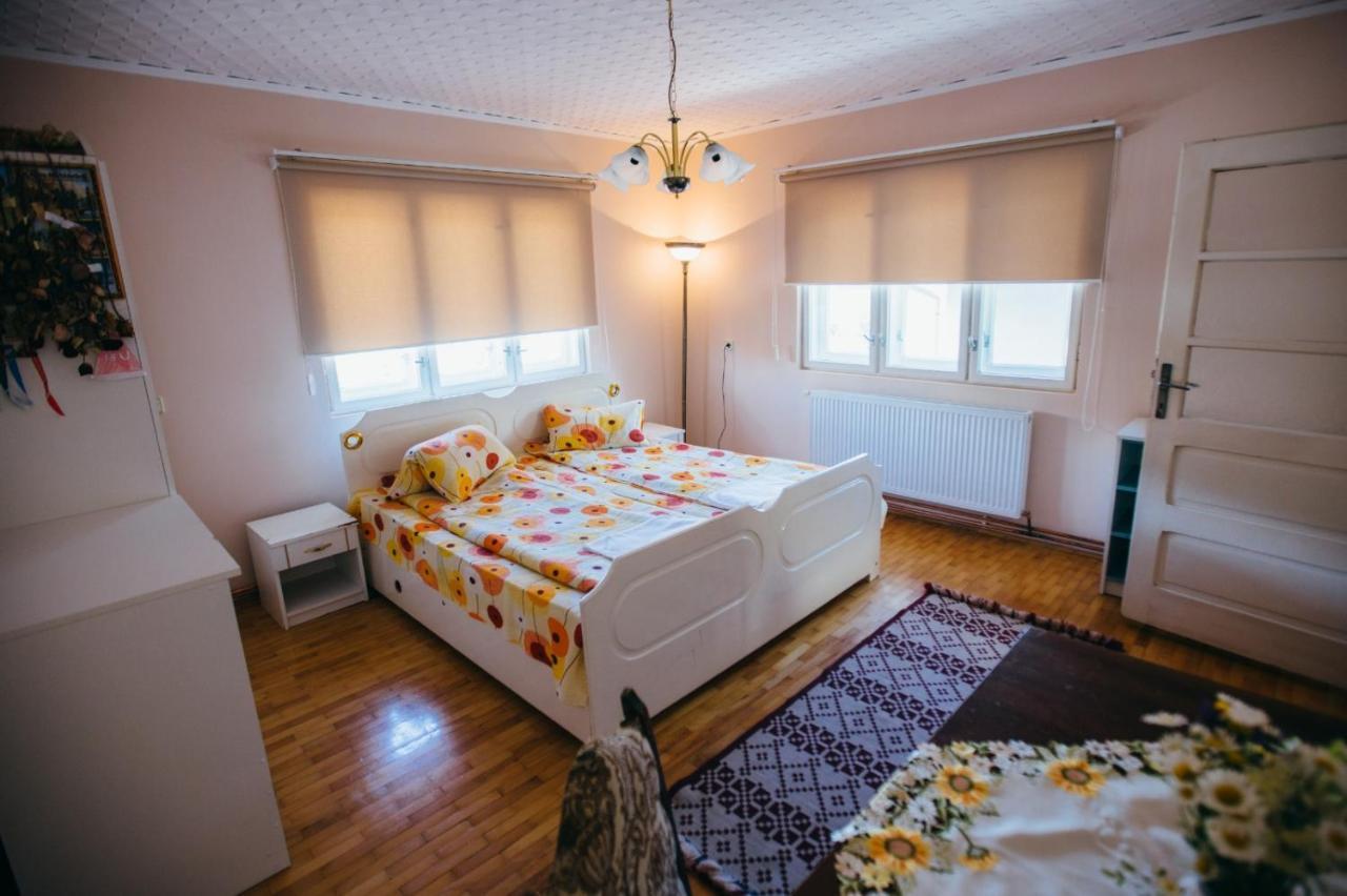 Hotel Gyongyvirag Panzio Lupeni  Zewnętrze zdjęcie