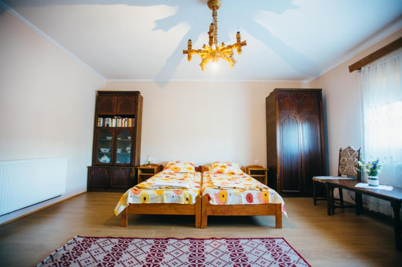 Hotel Gyongyvirag Panzio Lupeni  Zewnętrze zdjęcie